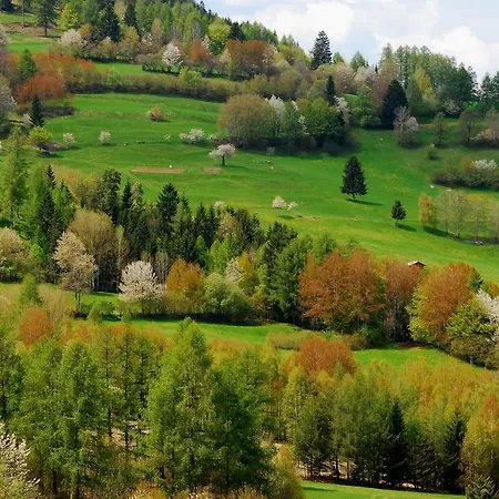Goldener Adler Gasthof